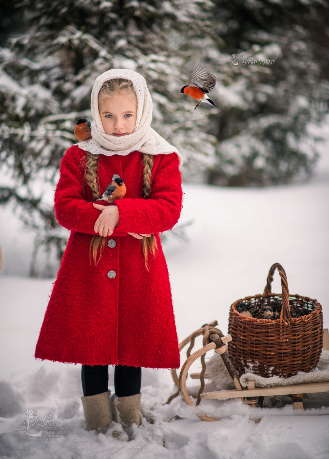 Девочка в красном пальтона фотосессии со снигирями