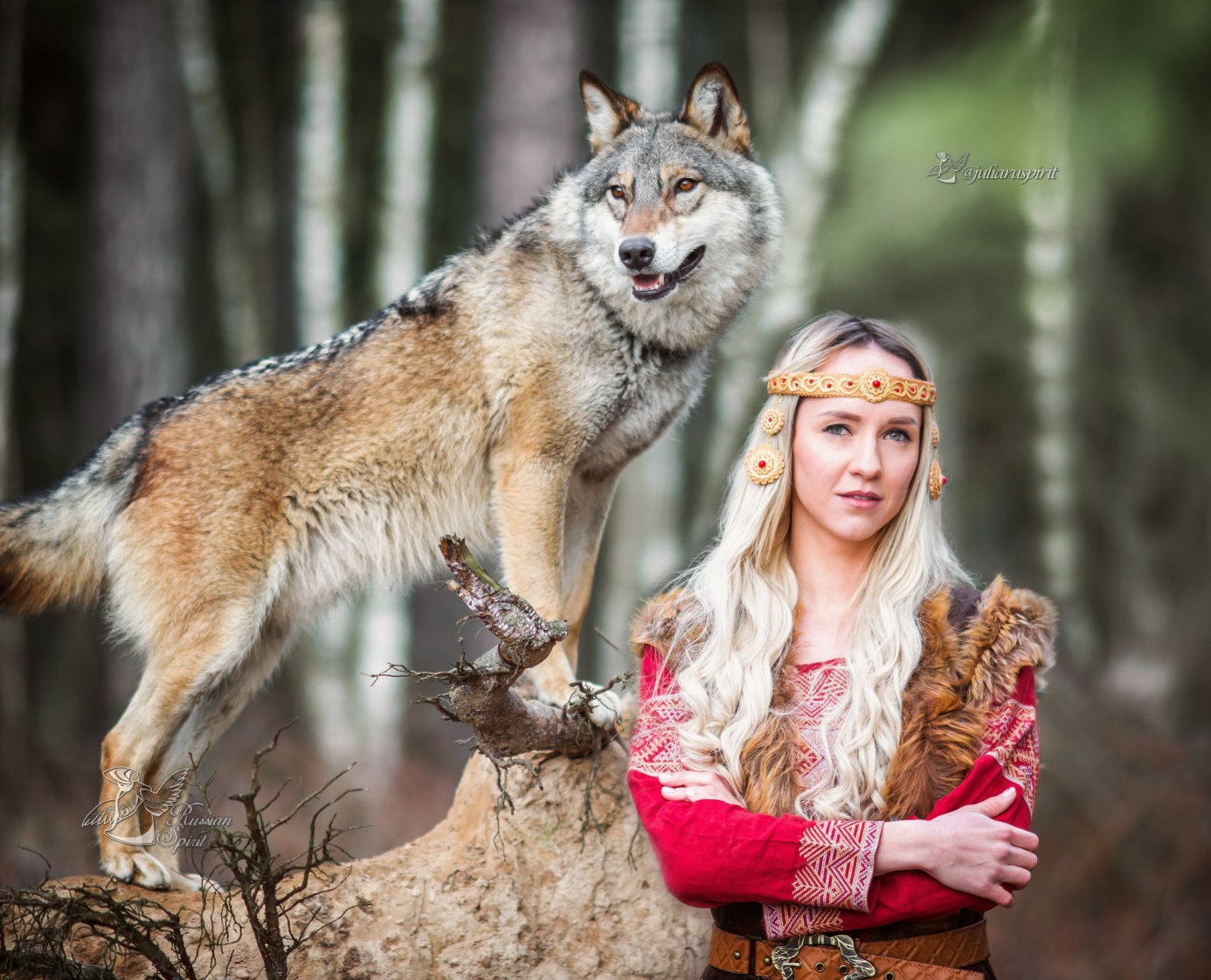 Photoshoot with a wolf in Moscow and Moscow region