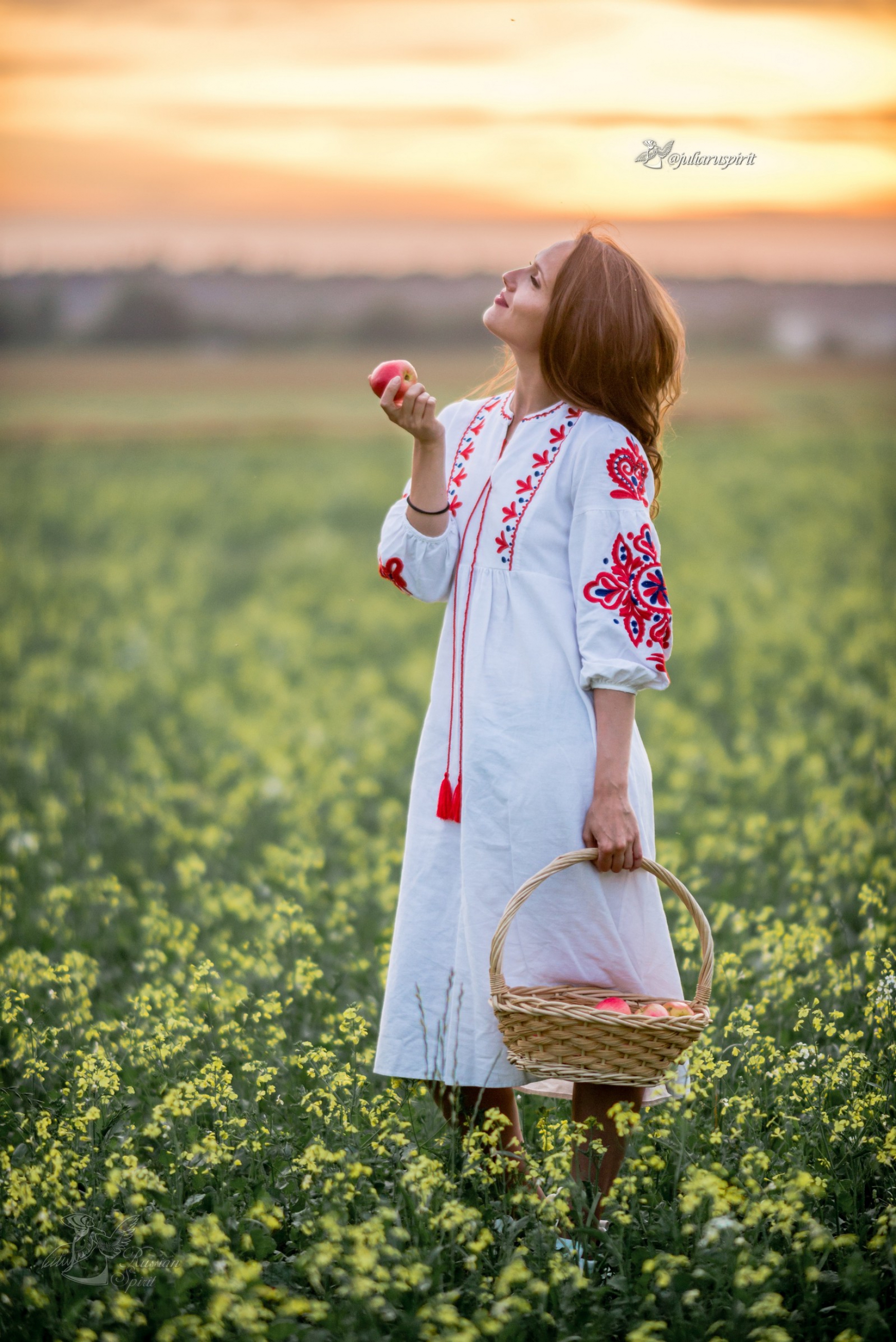 Девушка с корзинкой яблок в цветущем поле