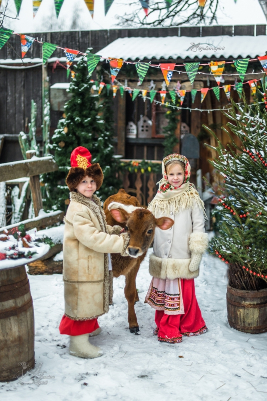 Девочка и мальчик в тулупчиках в русском стиле на фотосессии с бычком